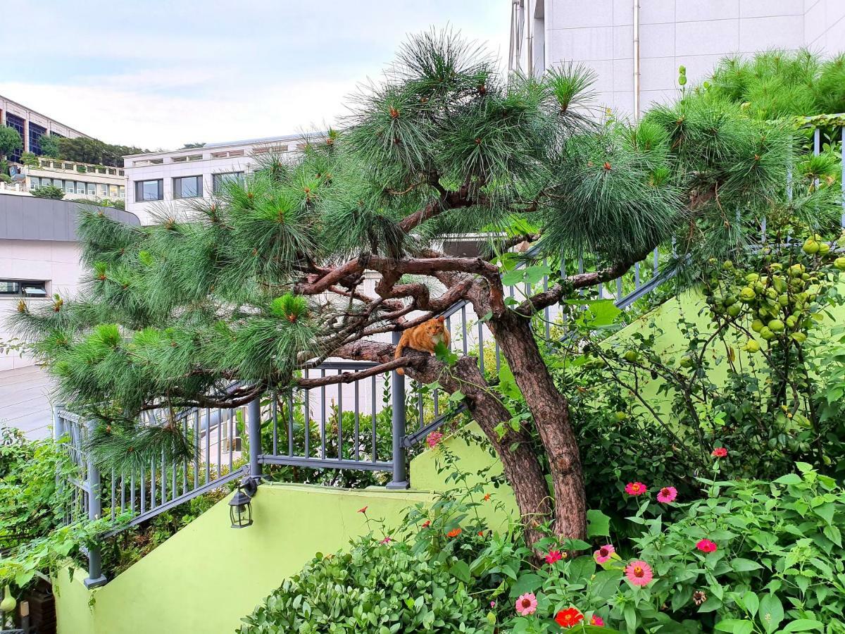 Happy Garden Guesthouse Сеул Екстериор снимка